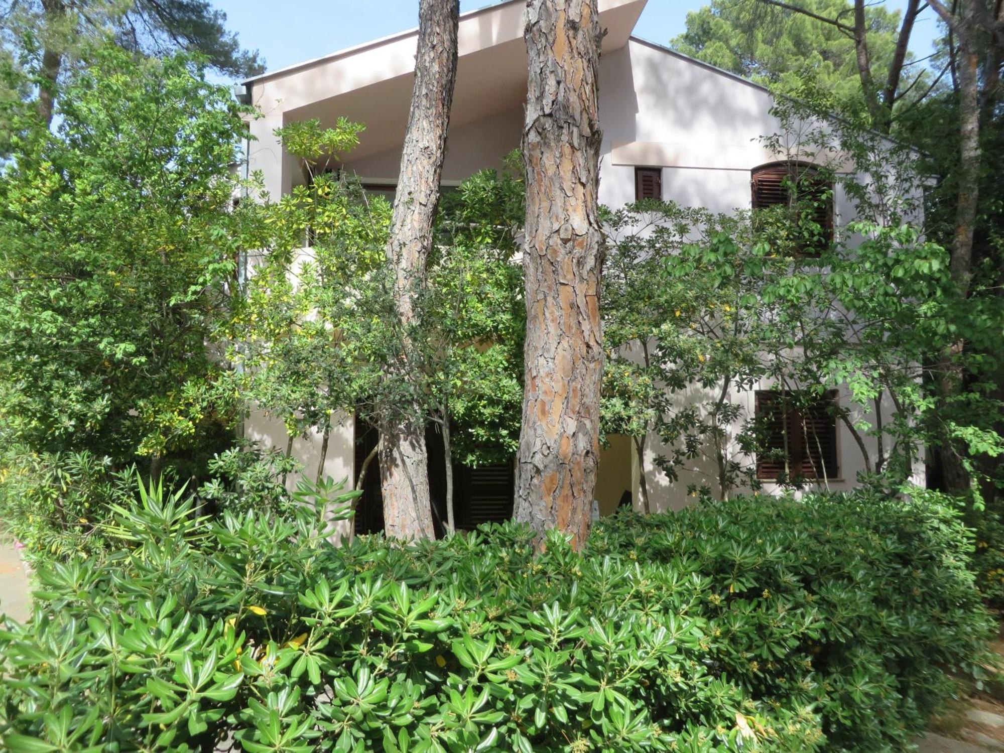 Soline Beach Apartments Biograd Na Moru Ruang foto